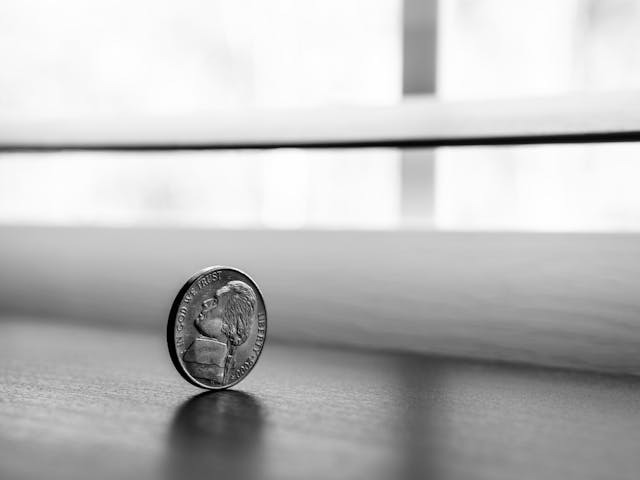 A black and white nickel standing upright on a table