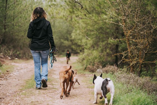 human walking their dogs on a trail
